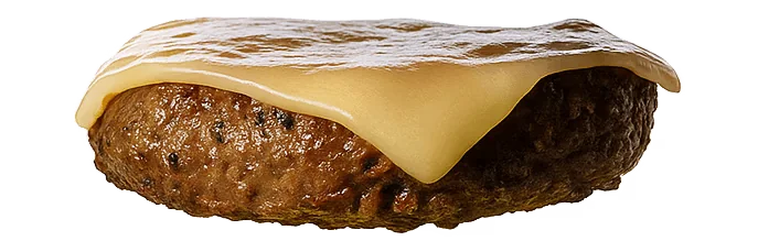 Burger Patty With Cheese