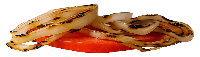 Burger Tomato and Onions