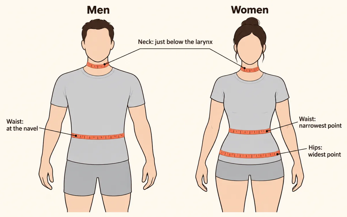 Diagram of the Navy body fat tape positions: neck just below the larynx for everyone, waist at the navel for men, waist at the narrowest point and hips at the widest point for women